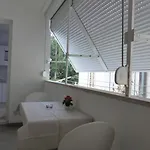 Mirko 扎达尔
